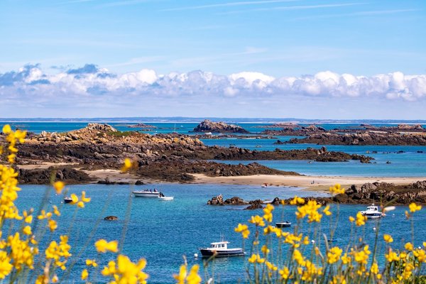 Les joyaux cachés des Îles Samoa : Plages de sable blanc, réserves marines et parcs nationaux