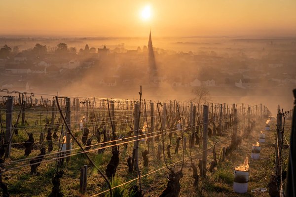 Quels sont les meilleurs itinéraires pour une exploration des vignobles en Californie, États-Unis ?