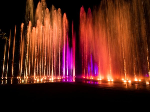 La magie du spectacle aquatique